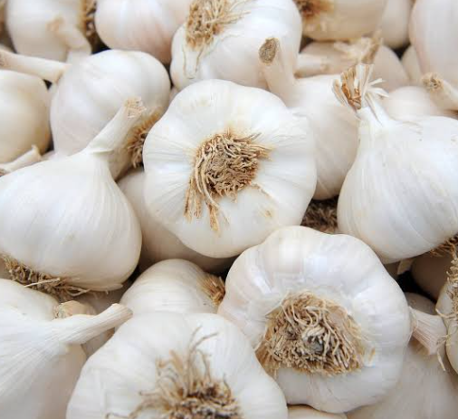 Healthy Meals: The 10 Best Foods for Dinner