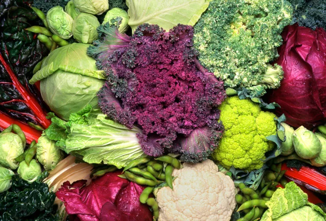 Healthy Meals: The 10 Best Foods for Dinner
