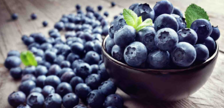 Healthy Meals: The 10 Best Foods for Dinner